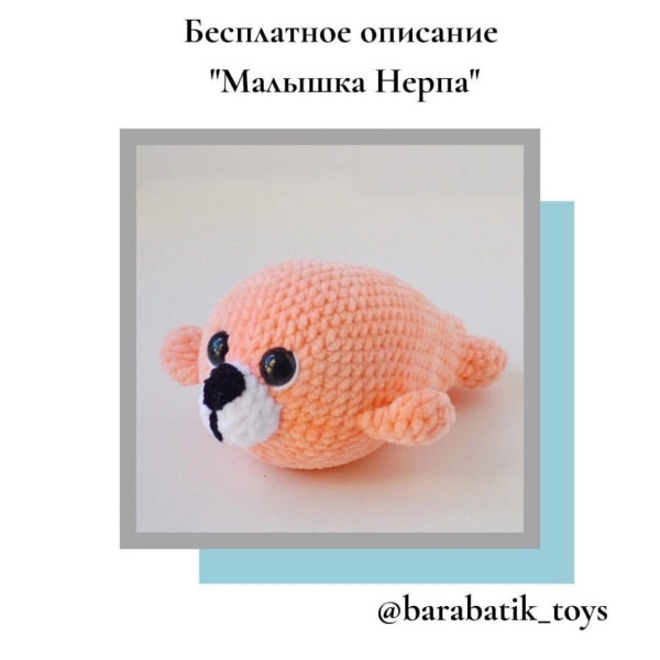 Тюлень, нерпа, морской котик. Малышка нерпа